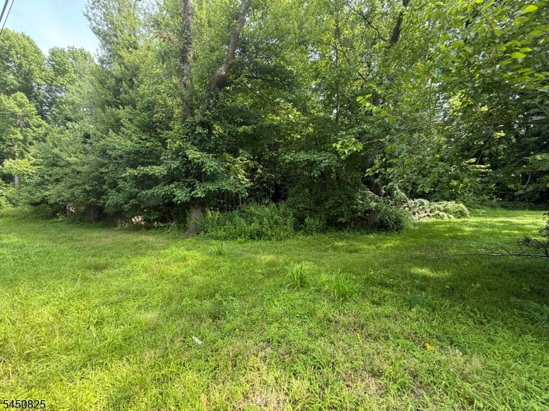 Fairfield Rd Property Photo 3
