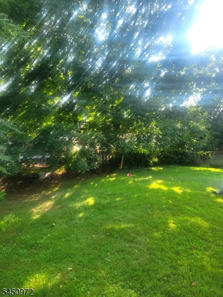 148 Pineview Ter Property Photo 6