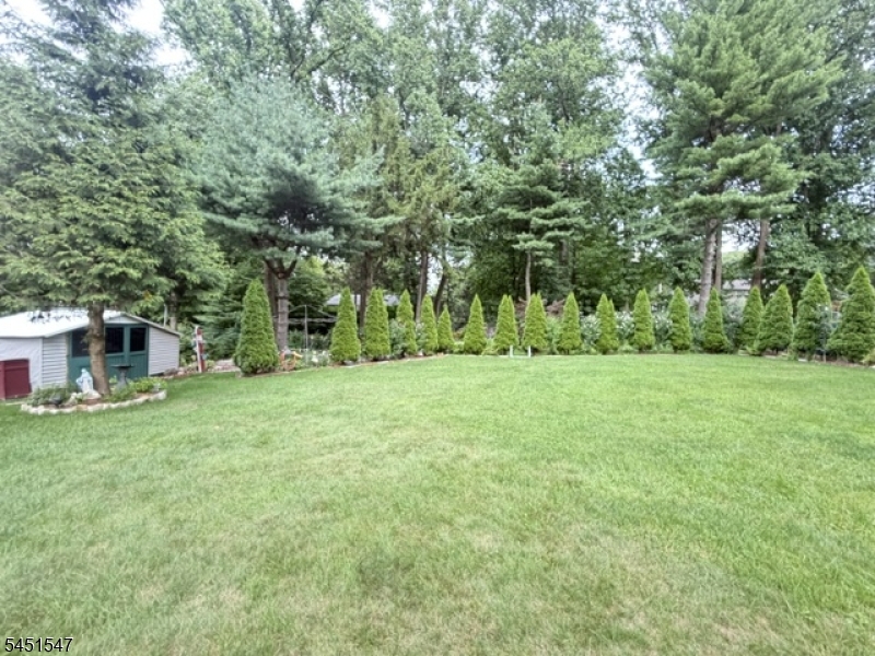 71 Beech Rd Property Photo 37