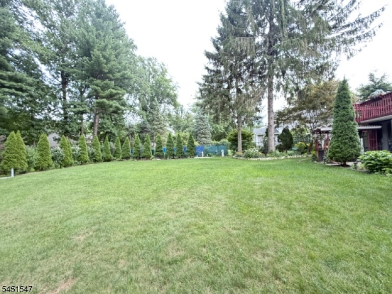71 Beech Rd Property Photo 38