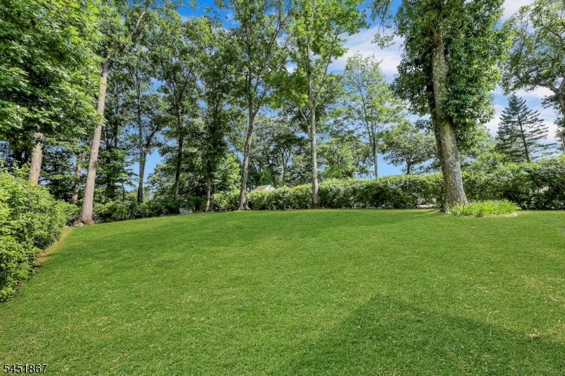 37 Hilltop Ter Property Photo 18