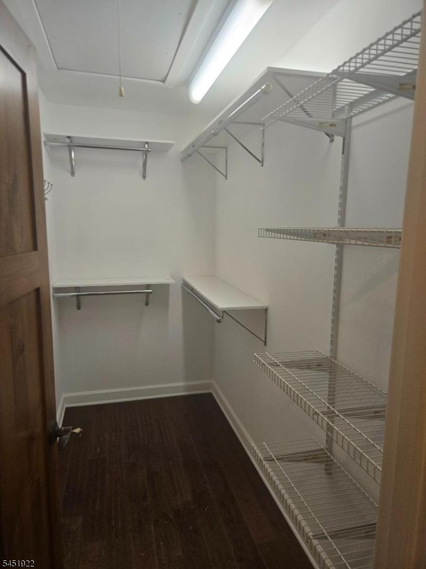 14 Larch St Property Photo 18