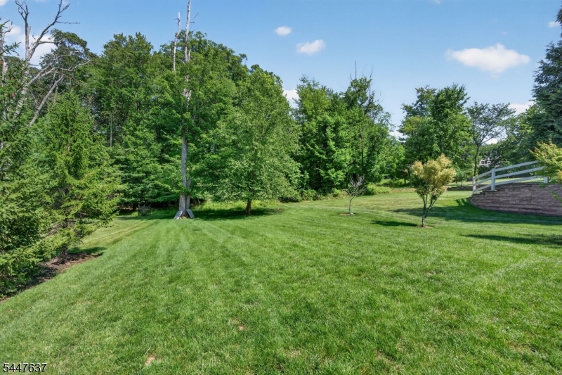 49 Haggerty Dr Property Photo 43