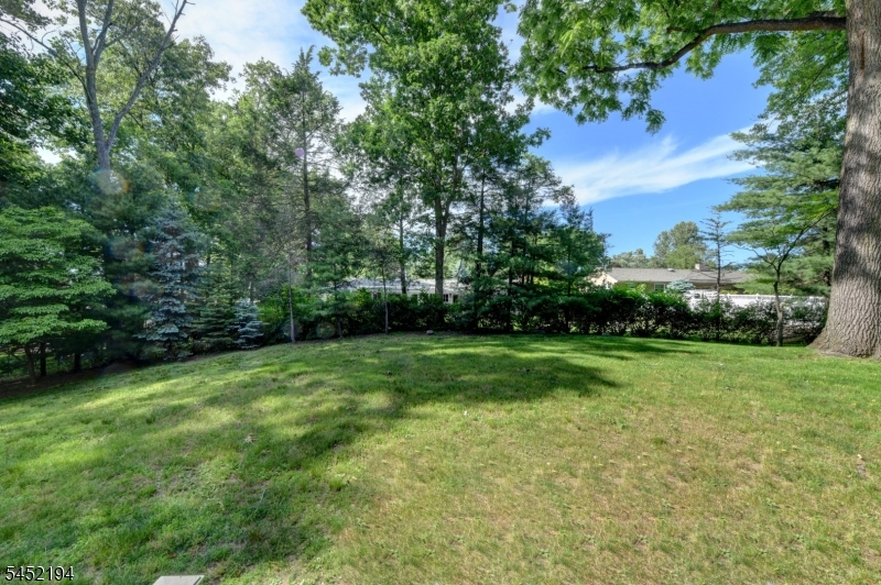34 Knoll Rd Property Photo 33