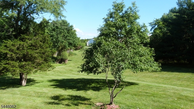 46 Buffalo Hollow Rd Property Photo 16