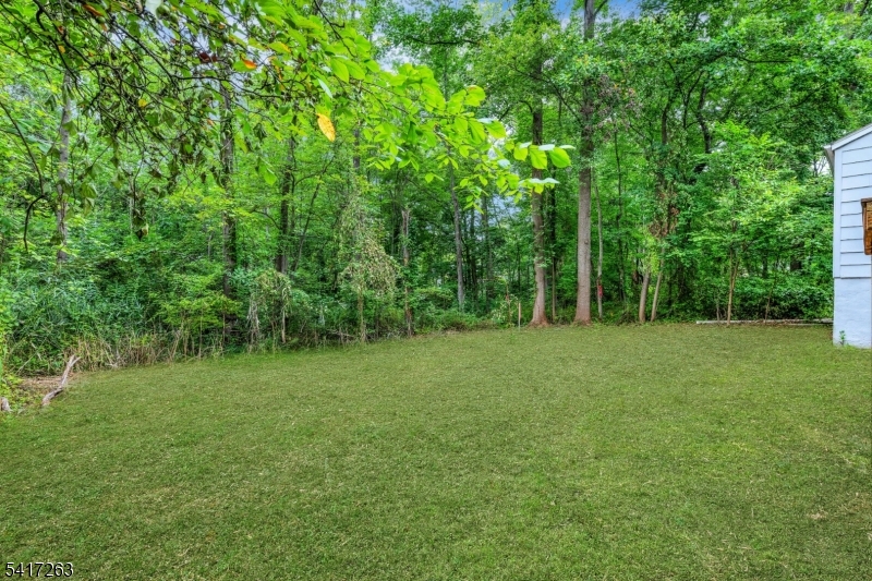 50 Mountainview Rd Property Photo 33