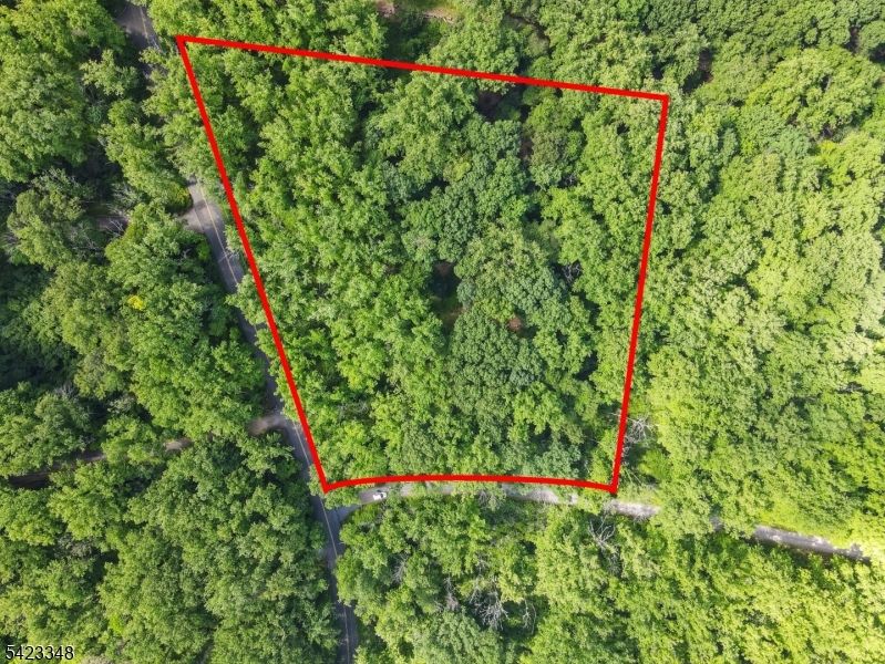 Jockey Hollow Rd Property Photo 1