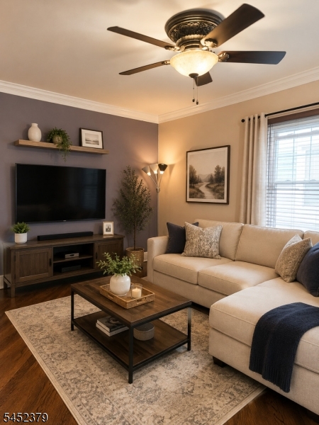 7 William Street Property Photo 4