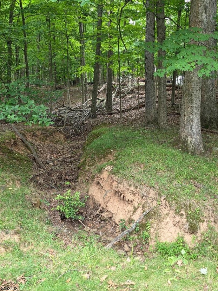 154 Hillside Ave Property Photo 36