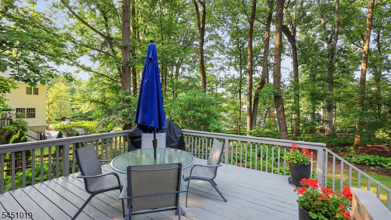 8 Cayuga Way Property Photo 19