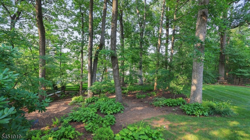8 Cayuga Way Property Photo 40