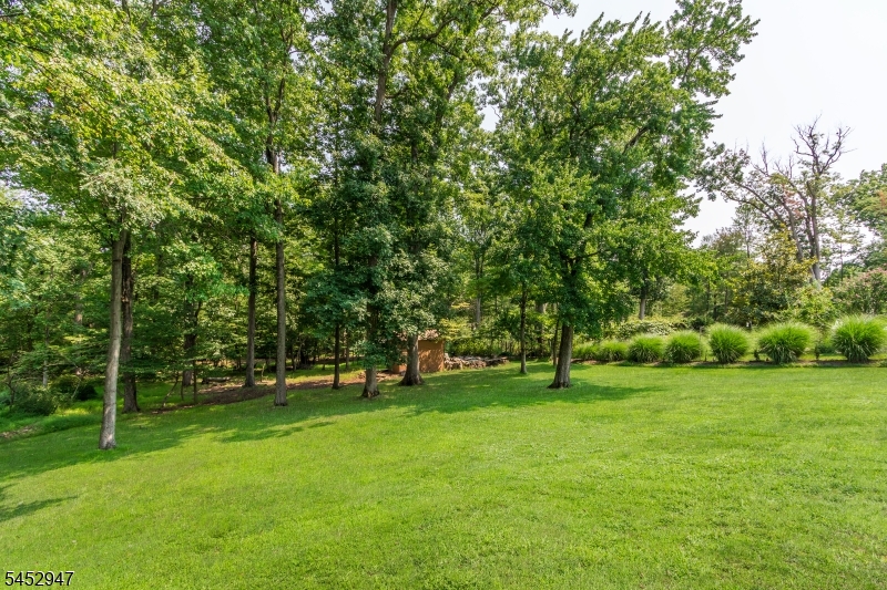 1008 Carteret Rd Property Photo 30