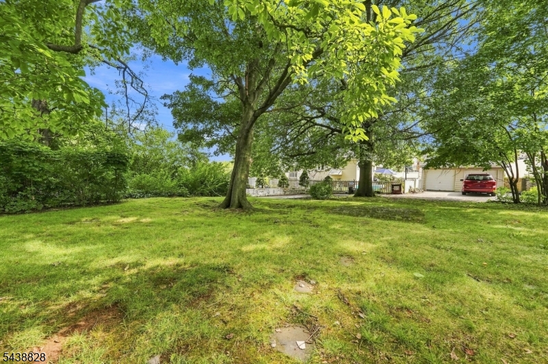 5 Plymouth Rd Property Photo 19