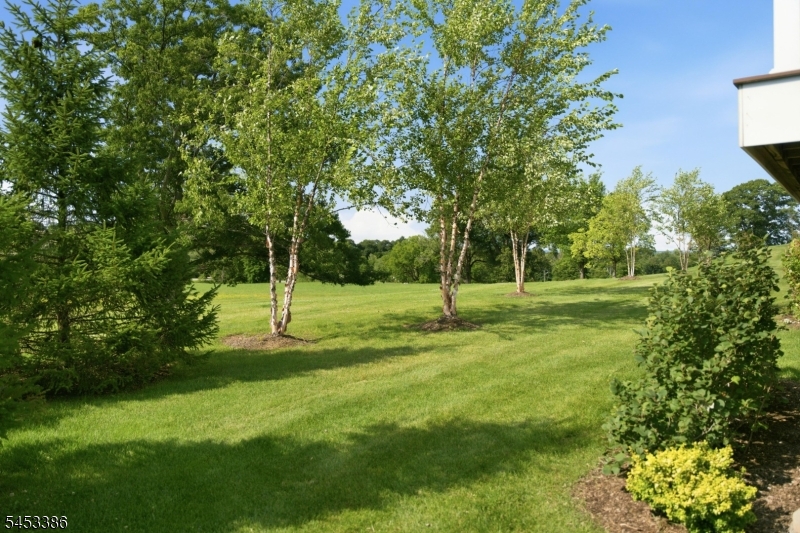 1 Aldrich Court Property Photo 40