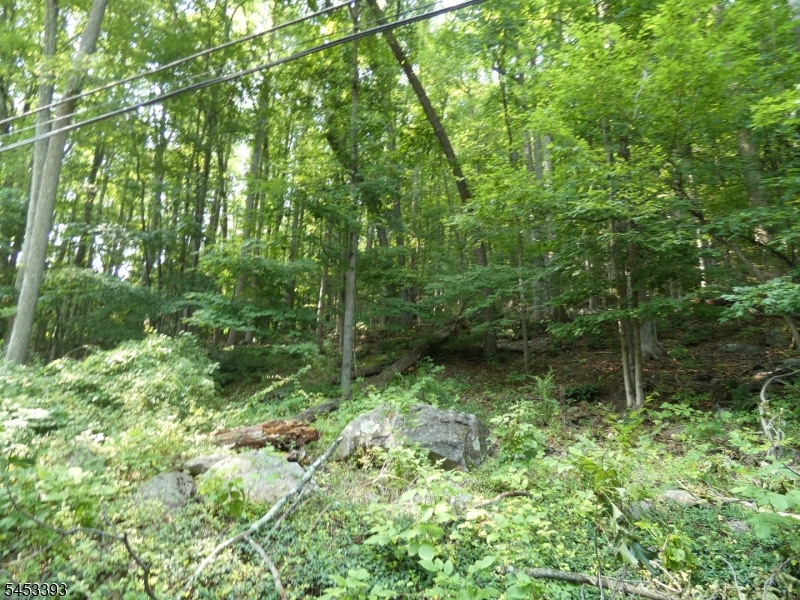 Sawmill Rd
