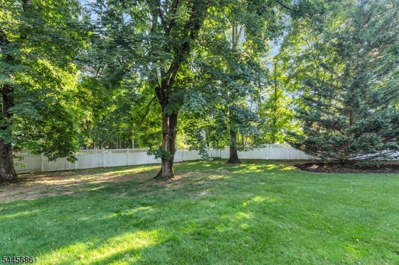 87 Peachtree Rd Property Photo 43