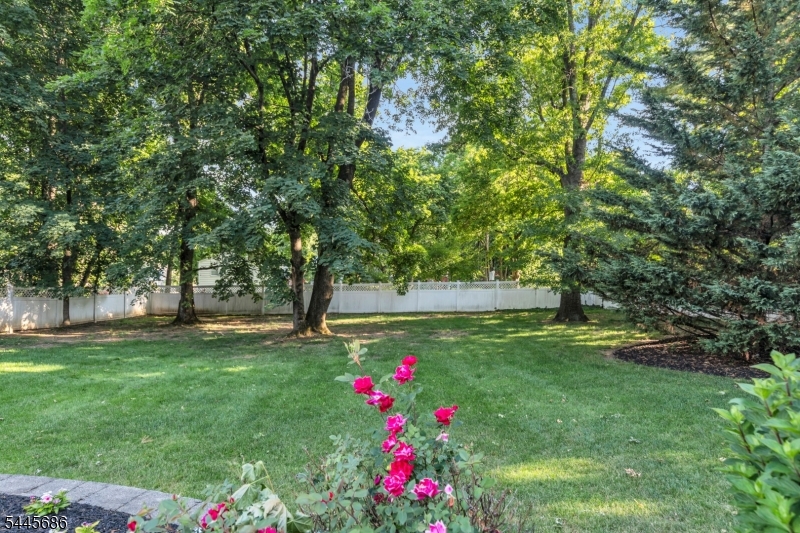 87 Peachtree Rd Property Photo 44
