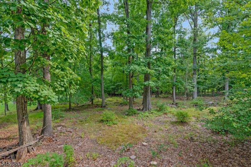 1941 Mountain Top Rd Property Photo 34