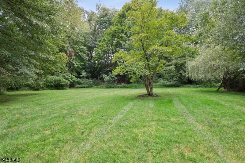 37 Kings Rd Property Photo 5
