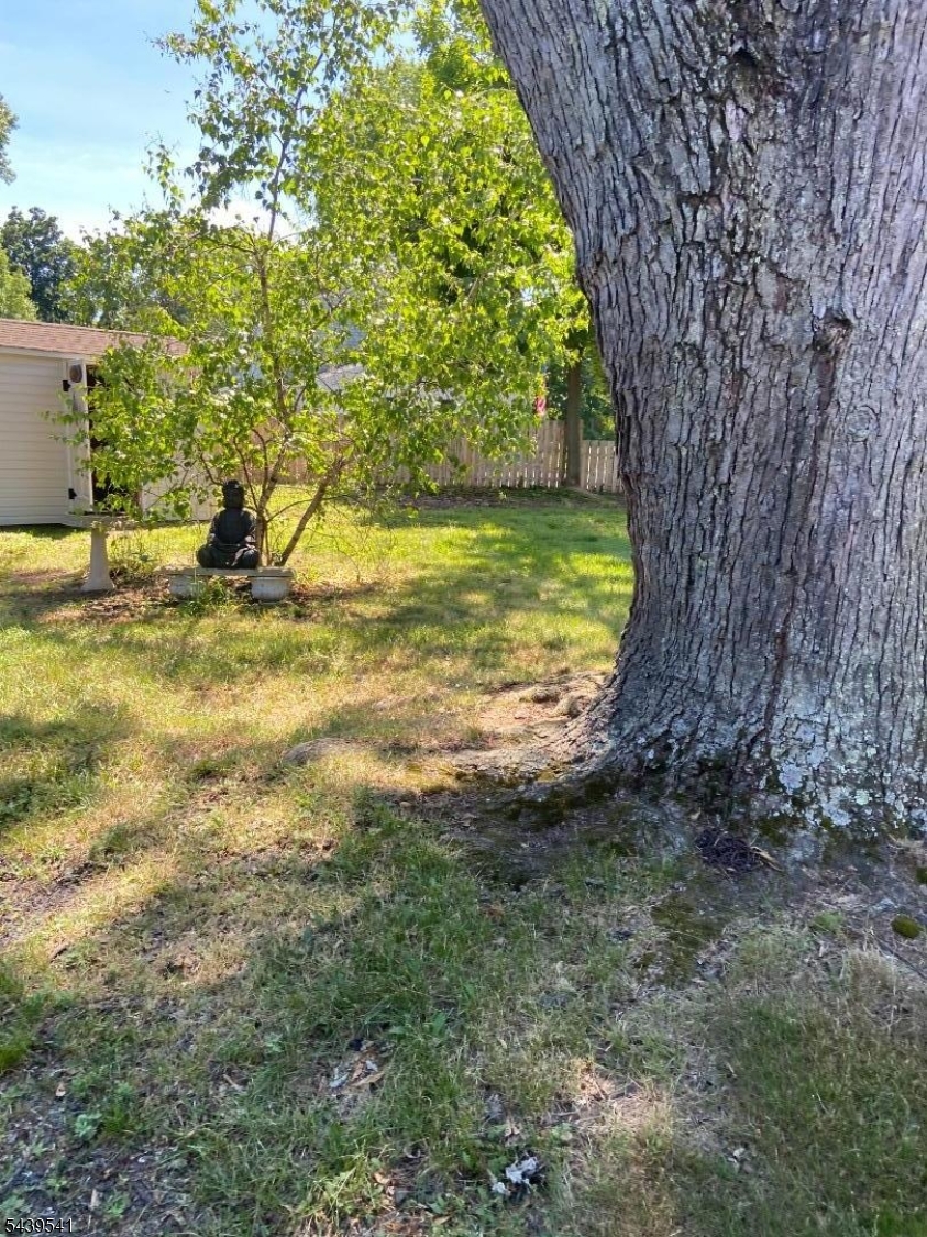 260 Nagle St Property Photo 20