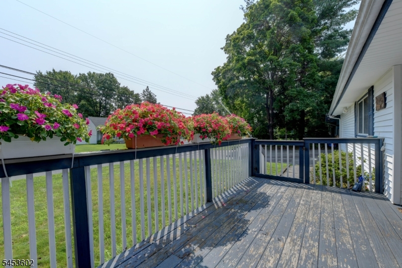 18 Arthur Rd Property Photo 30