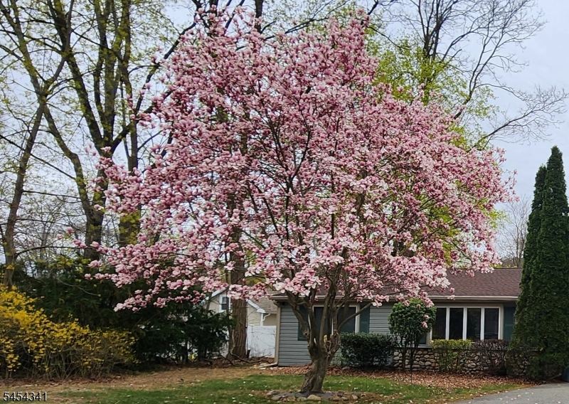 47 Pequot Trl Property Photo 19