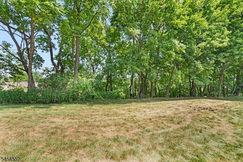 25 Hillside Ct Property Photo 17