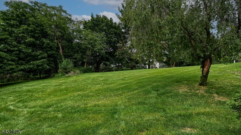 42 Bowfell Ct Property Photo 22