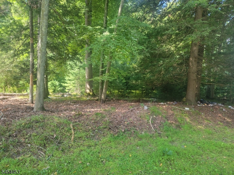 Rolling Ridge Rd Property Photo 2