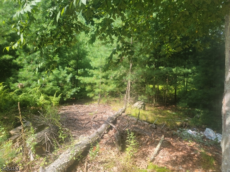 Rolling Ridge Rd Property Photo 3