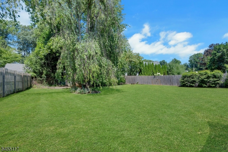 259 Ashland Rd Property Photo 27