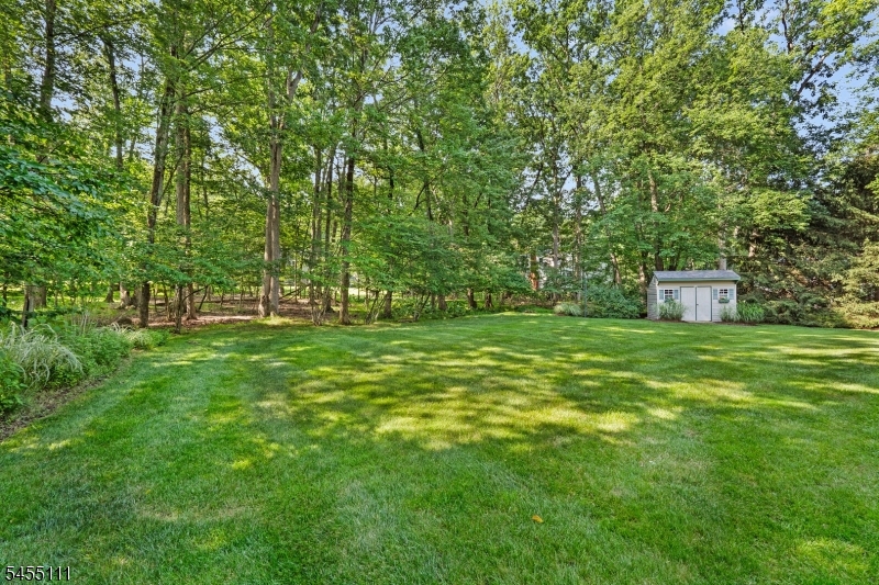 50 Meadowbrook Rd Property Photo 7