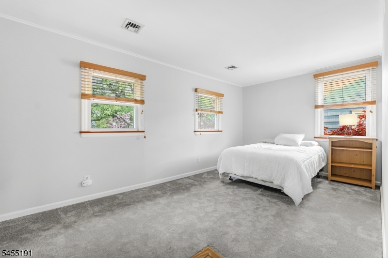17 Westland Rd Property Photo 14