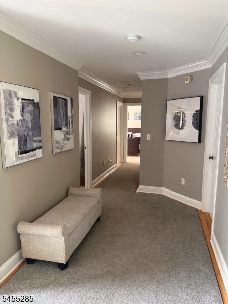 5 Pilgrim Ct Property Photo 20