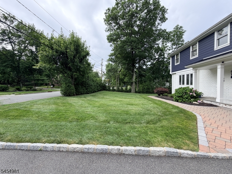 43 Edgewood Ave Property Photo 6