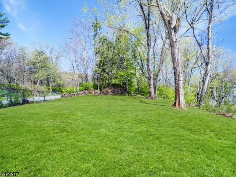 4 Emmans Rd Property Photo 20