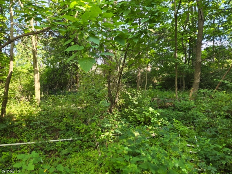 Hewlett Rd Property Photo 1