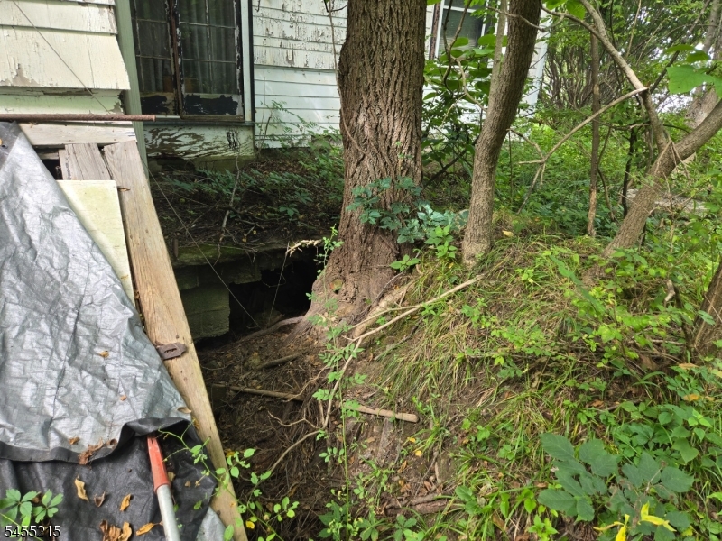 Hewlett Rd Property Photo 10