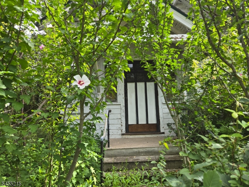 Hewlett Rd Property Photo 11