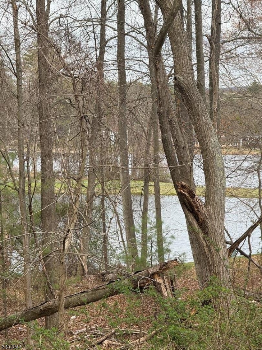 Lake Shore Property Photo 2