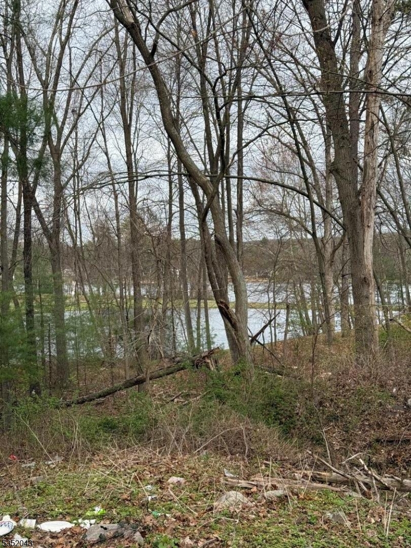 Lake Shore Property Photo 3