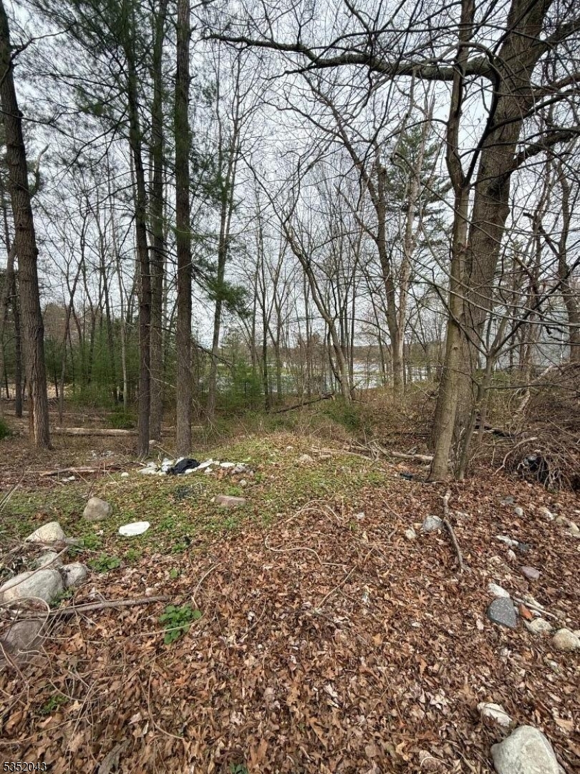Lake Shore Property Photo 4