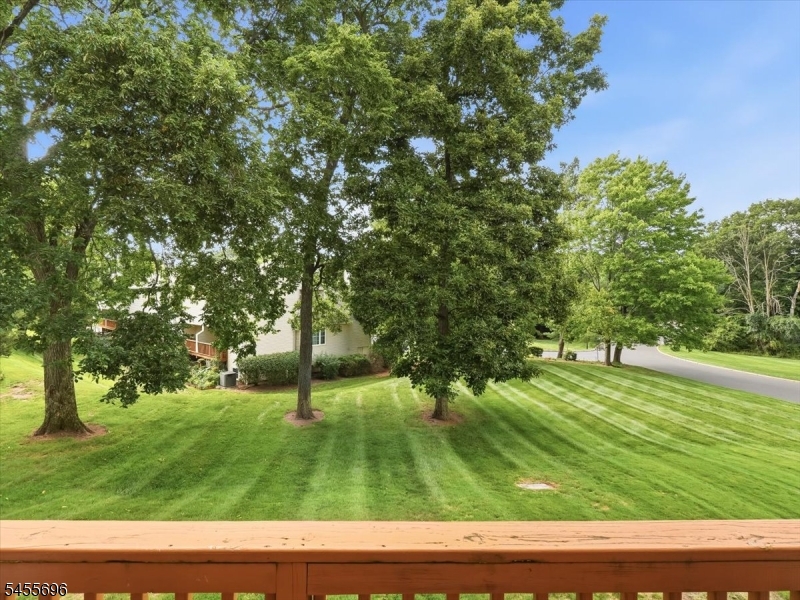 74 Freemont Ct Property Photo 28