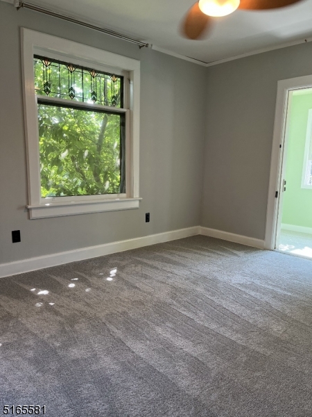 33 Drakestown Rd Property Photo 25