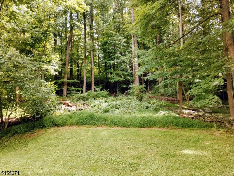 14 Tompkins Ct Property Photo 34