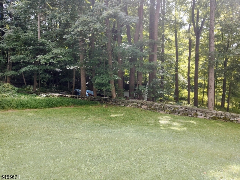 14 Tompkins Ct Property Photo 35