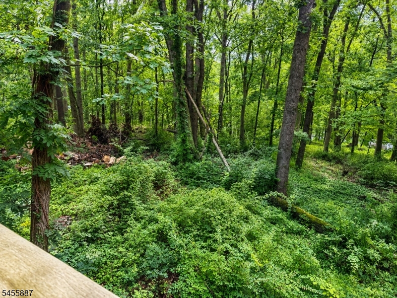 37 Goltra Dr Property Photo 2