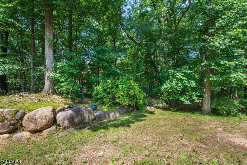 31 Lockley Ct Property Photo 39