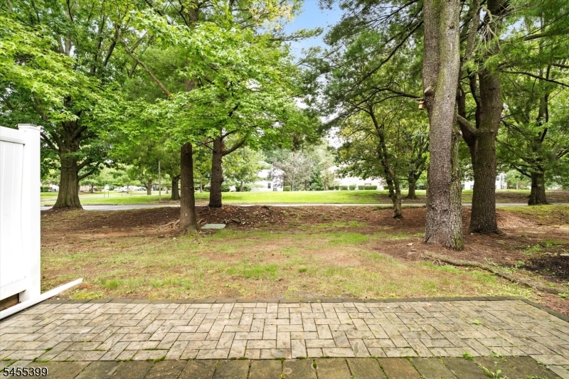 4 Pear Tree Ln Property Photo 26