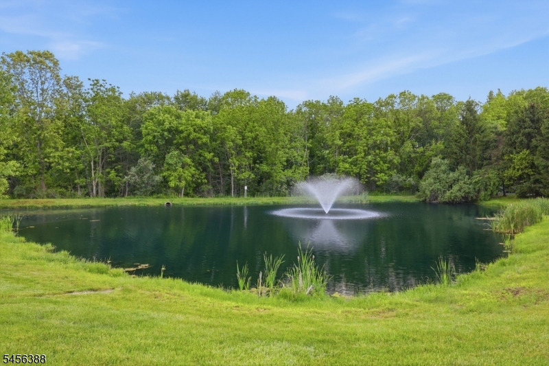 10 Oriole Ter Property Photo 13